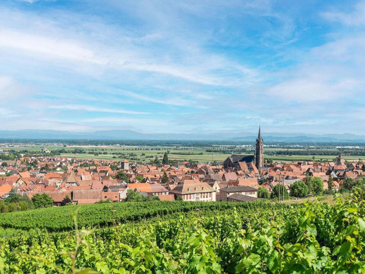 Charming Gite In Dambach La Ville With Terrace Exterior photo